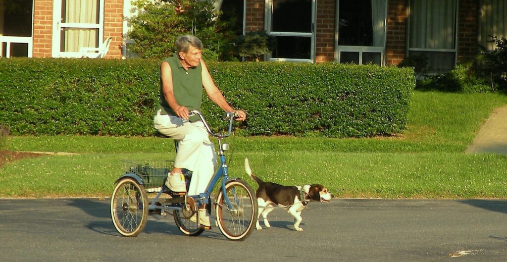 Our residents and their four-legged friends take a leisurely stroll.