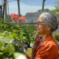 Our greenhouse allows year-round gardening.