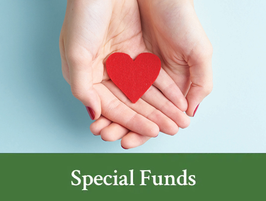 Special funds