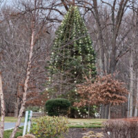 2023 Holiday Tree Lighting