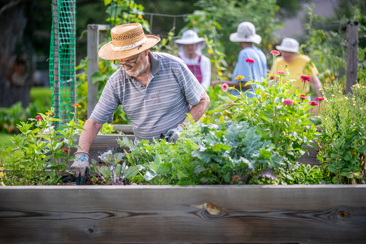 Friends House Garden
