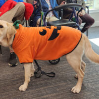 Friends House Halloween 2025