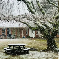 2026 Rightsizing Event