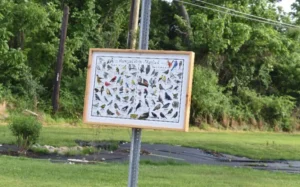 Bird Signage 