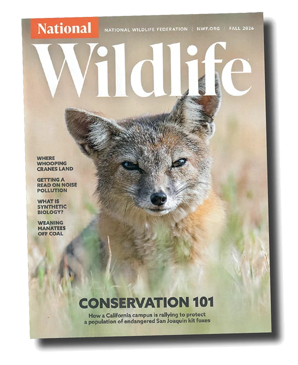 National Wildlife Magaizine